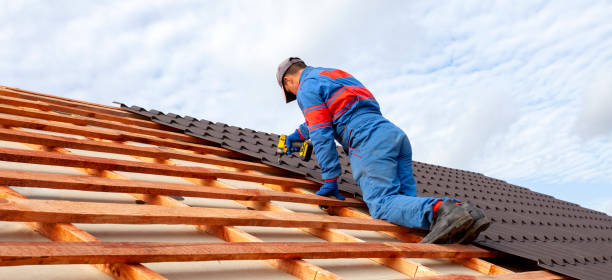 Best Sheet Metal Roofing  in Pennington Gap, VA